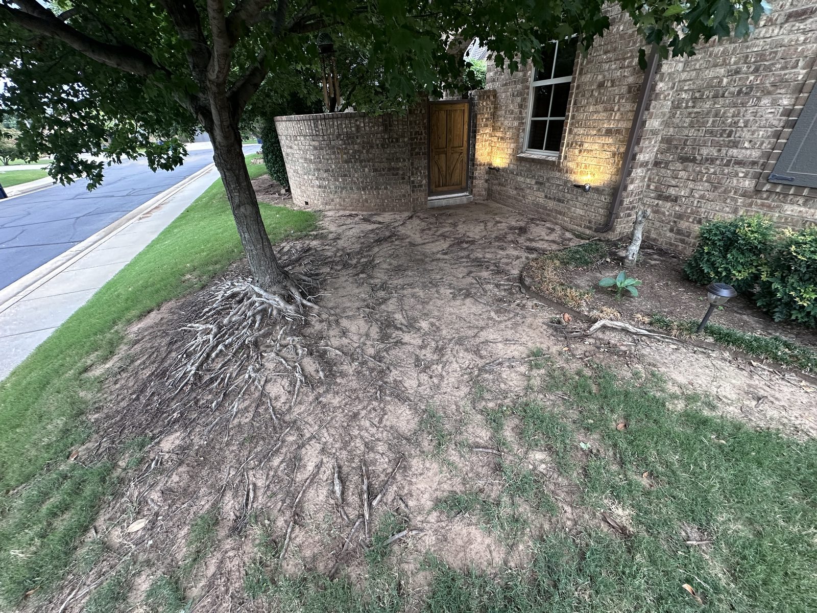 Front yard regrade and sod, before the work